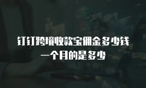 钉钉跨境收款宝佣金多少钱一个月的是多少