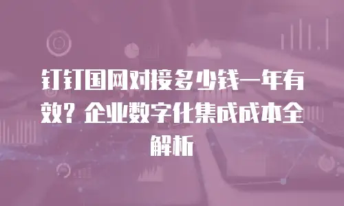 钉钉国网对接多少钱一年有效？企业数字化集成成本全解析