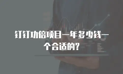 钉钉功倍项目一年多少钱一个合适的？