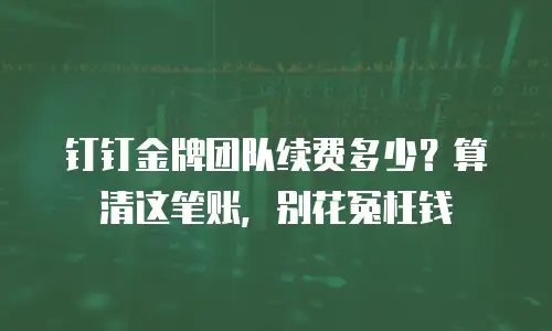 钉钉金牌团队续费多少？算清这笔账，别花冤枉钱