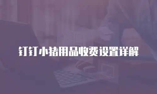 钉钉小猪用品收费设置详解