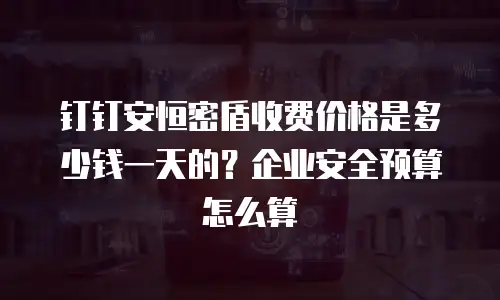 钉钉安恒密盾收费价格是多少钱一天的？企业安全预算怎么算