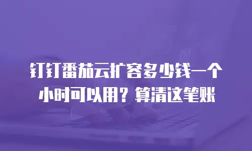 钉钉番茄云扩容多少钱一个小时可以用？算清这笔账