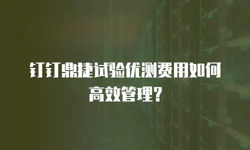 钉钉鼎捷试验优测费用如何高效管理？