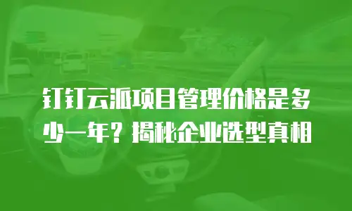钉钉云派项目管理价格是多少一年？揭秘企业选型真相