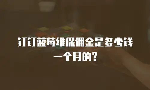 钉钉蓝莓维保佣金是多少钱一个月的？