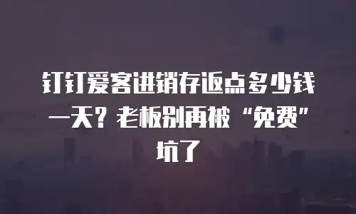 钉钉爱客进销存返点多少钱一天？老板别再被“免费”坑了