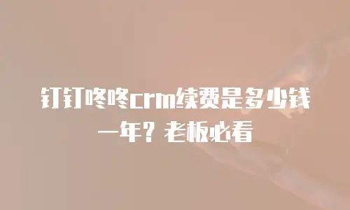 钉钉咚咚crm续费是多少钱一年？老板必看