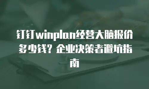 钉钉winplan经营大脑报价多少钱？企业决策者避坑指南