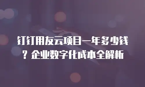 钉钉用友云项目一年多少钱？企业数字化成本全解析