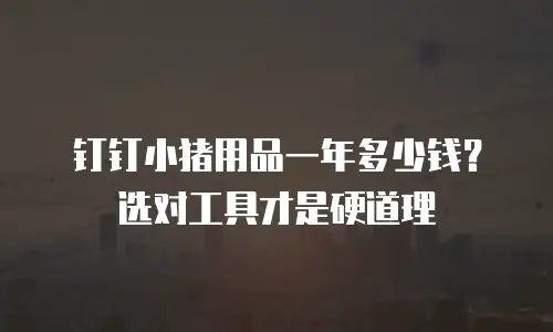 钉钉小猪用品一年多少钱？选对工具才是硬道理