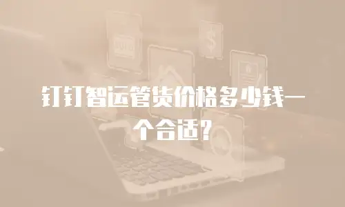 钉钉智运管货价格多少钱一个合适？