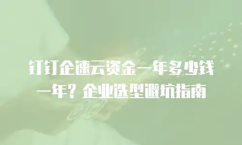 钉钉企速云资金一年多少钱一年？企业选型避坑指南