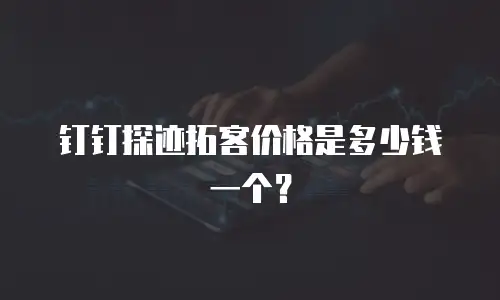 钉钉探迹拓客价格是多少钱一个？