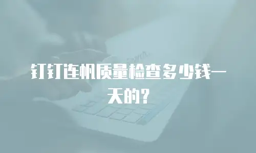 钉钉连帆质量检查多少钱一天的？