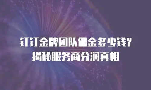 钉钉金牌团队佣金多少钱？揭秘服务商分润真相