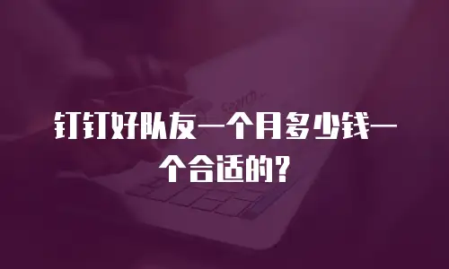 钉钉好队友一个月多少钱一个合适的？