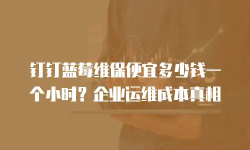 钉钉蓝莓维保便宜多少钱一个小时？企业运维成本真相