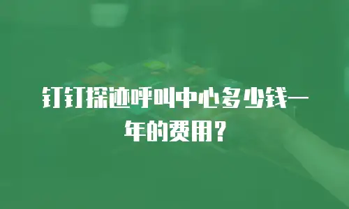 钉钉探迹呼叫中心多少钱一年的费用？