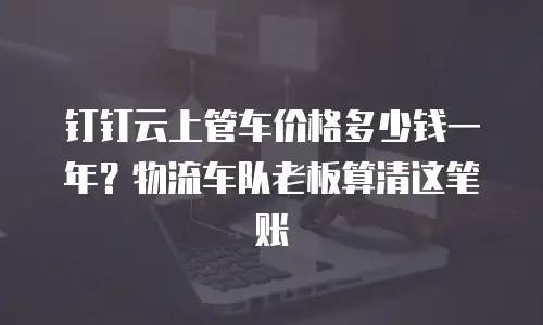 钉钉云上管车价格多少钱一年？物流车队老板算清这笔账