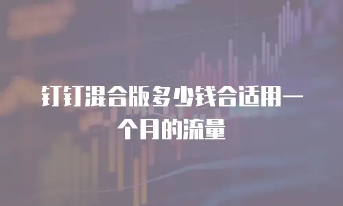 钉钉混合版多少钱合适用一个月的流量