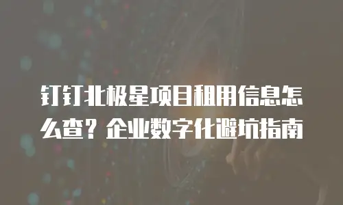 钉钉北极星项目租用信息怎么查？企业数字化避坑指南