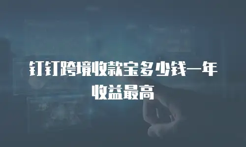 钉钉跨境收款宝多少钱一年收益最高