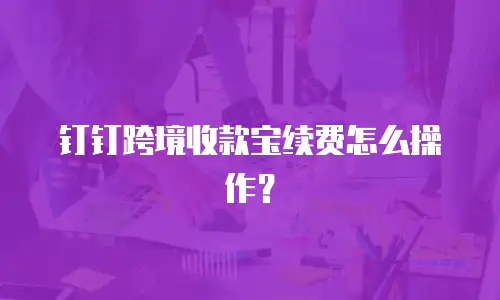 钉钉跨境收款宝续费怎么操作？