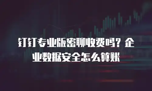 钉钉专业版密聊收费吗？企业数据安全怎么算账