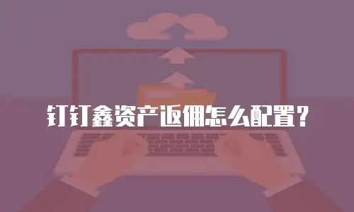 钉钉鑫资产返佣怎么配置？