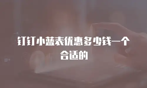 钉钉小蓝表优惠多少钱一个合适的