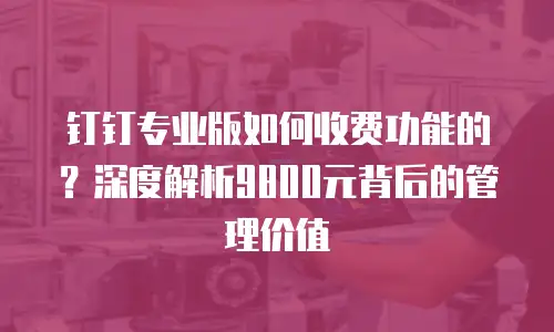 钉钉专业版如何收费功能的？深度解析9800元背后的管理价值