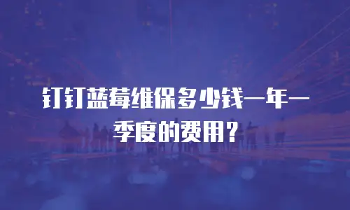 钉钉蓝莓维保多少钱一年一季度的费用？