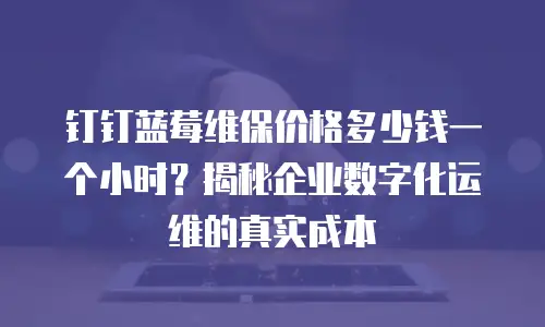 钉钉蓝莓维保价格多少钱一个小时？揭秘企业数字化运维的真实成本