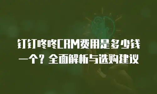 钉钉咚咚CRM费用是多少钱一个？全面解析与选购建议