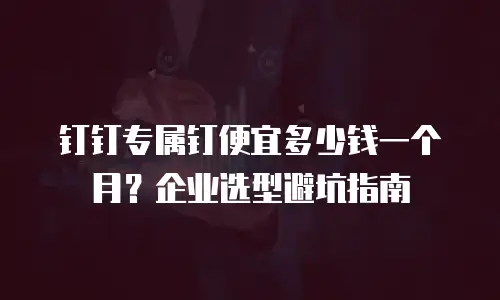 钉钉专属钉便宜多少钱一个月？企业选型避坑指南