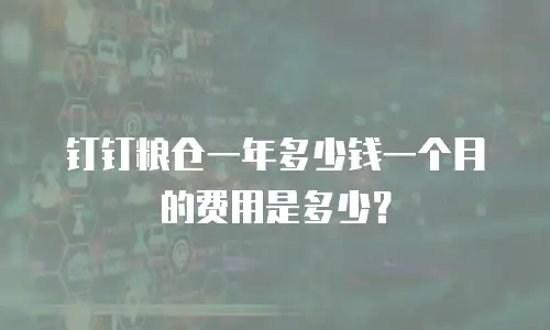 钉钉粮仓一年多少钱一个月的费用是多少？