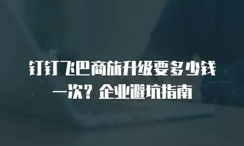 钉钉飞巴商旅升级要多少钱一次？企业避坑指南