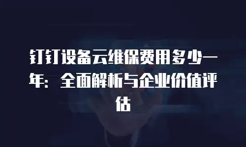 钉钉设备云维保费用多少一年：全面解析与企业价值评估