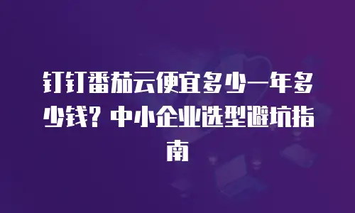 钉钉番茄云便宜多少一年多少钱？中小企业选型避坑指南