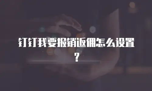 钉钉我要报销返佣怎么设置？