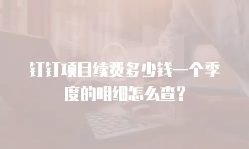 钉钉项目续费多少钱一个季度的明细怎么查？