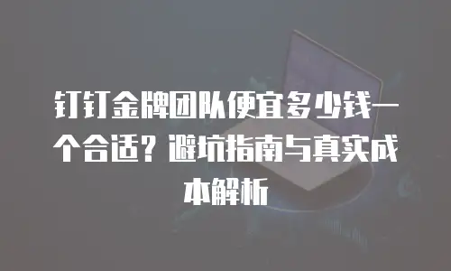 钉钉金牌团队便宜多少钱一个合适？避坑指南与真实成本解析