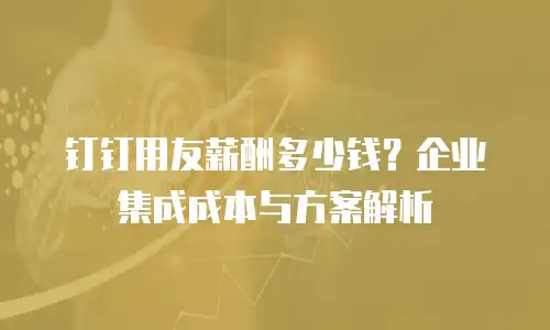 钉钉用友薪酬多少钱？企业集成成本与方案解析