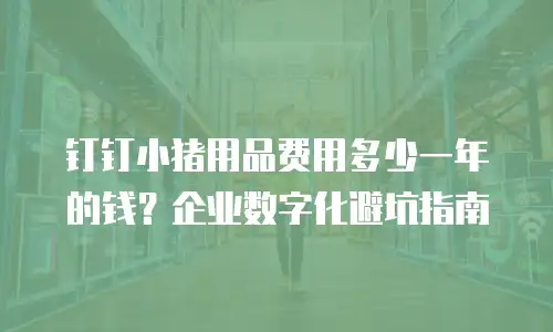 钉钉小猪用品费用多少一年的钱？企业数字化避坑指南