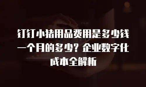 钉钉小猪用品费用是多少钱一个月的多少？企业数字化成本全解析