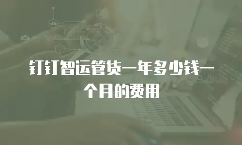 钉钉智运管货一年多少钱一个月的费用