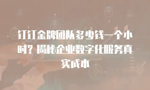 钉钉金牌团队多少钱一个小时？揭秘企业数字化服务真实成本