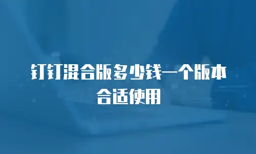 钉钉混合版多少钱一个版本合适使用
