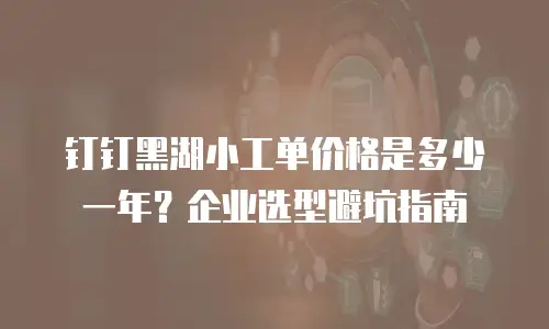 钉钉黑湖小工单价格是多少一年？企业选型避坑指南